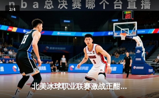 北美冰球职业联赛激战正酣：波士顿棕熊队加时绝杀多伦多枫叶队，系列赛悬念再起 - 2