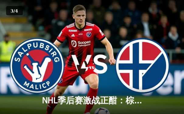 NHL季后赛激战正酣：棕熊队加时绝杀闪电队，系列赛战成2-2平 - 3