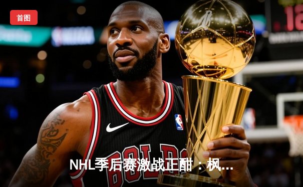 NHL季后赛激战正酣：枫叶队加时绝杀棕熊，系列赛战成2-2平