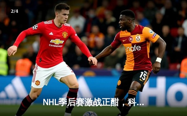 NHL季后赛激战正酣，科罗拉多雪崩队加时绝杀卫冕冠军维加斯金骑士 - 2