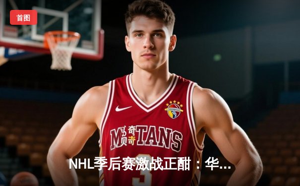 NHL季后赛激战正酣：华盛顿首都人加时绝杀波士顿棕熊，系列赛战成2-2平