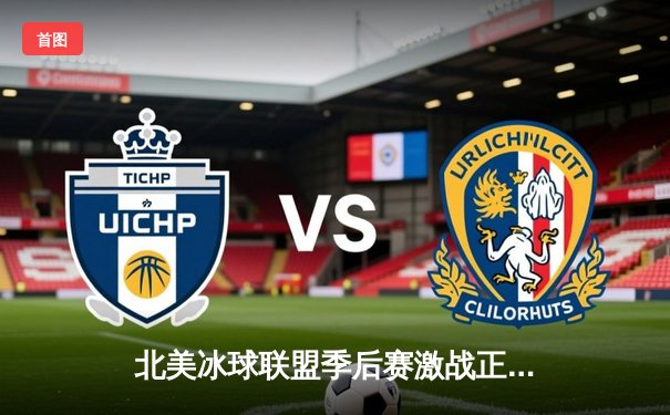 北美冰球联盟季后赛激战正酣：棕熊队加时绝杀，3-2险胜闪电队